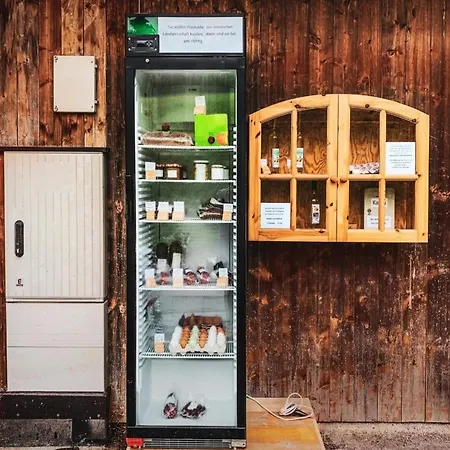 In Near The Kitzbuehel Alps Apartment *