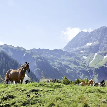 Apartman In Near The Kitzbuehel Alps *