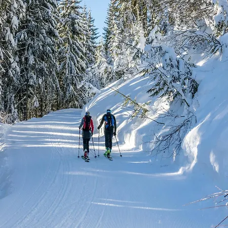 In Near The Kitzbuehel Alps * Mittersill