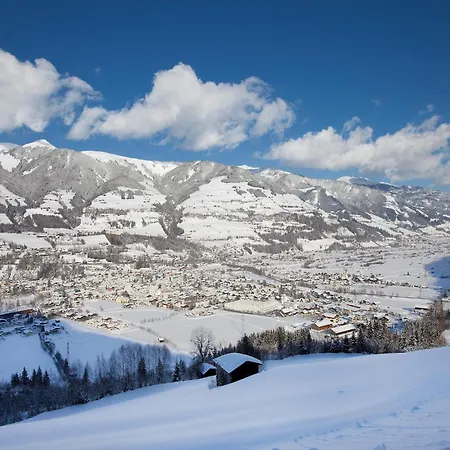 Apartman In Near The Kitzbuehel Alps Mittersill