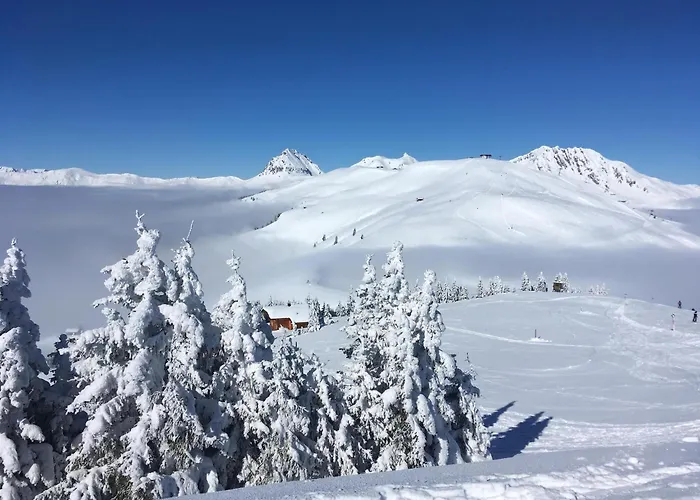 In Near The Kitzbuehel Alps Apartment